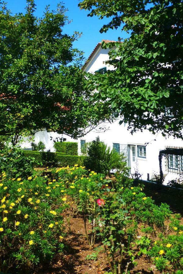 Bed and Breakfast Comfy Sintra Exteriér fotografie